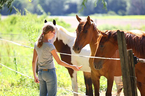 Horse riding