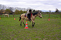 equitation cheval
