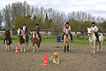 equitation cheval